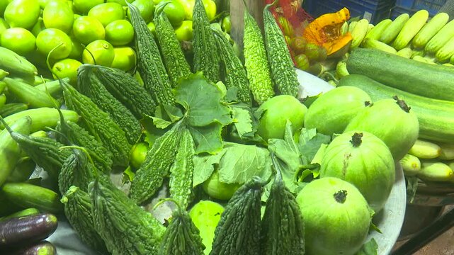 Fresh Green Bitter Gourds and Jali Kumra Growing in a Vegetable Garden