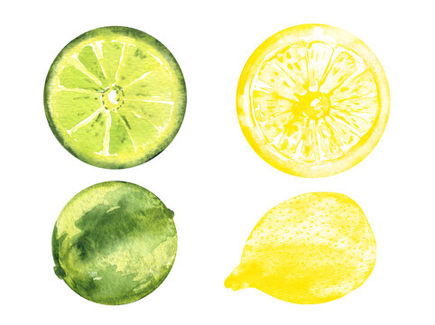 Lime and lemon watercolor sour citrus set. Hand drawn fruit illustration isolated on white background
