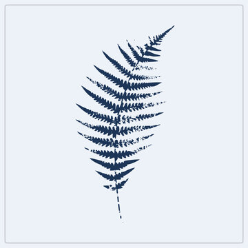 Navy Blue Distressed Fern Frond Silhouette in Minimalist Grunge Block Print Style