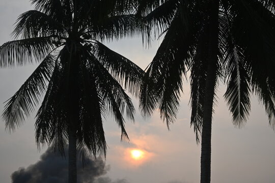 ​A striking silhouette view of two coconut palm trees, positioned prominently in the foreground. The sky is a blend of dusk or dawn, with the sun's rays piercing through near the horizon, partially ob