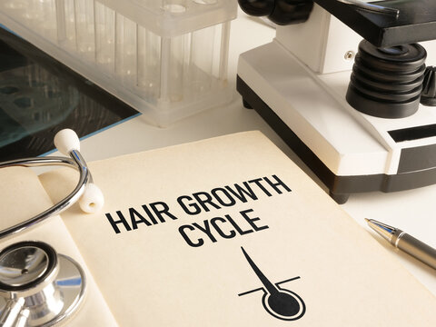 Hair Growth Cycle, Anagen Catagen and Telogen Phases, Follicle Regeneration, Hair Loss and Scalp Health