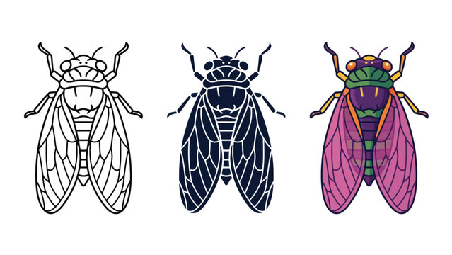 Detailed cicada insect vectors in outline, silhouette, and vibrant colorful illustrative design styles