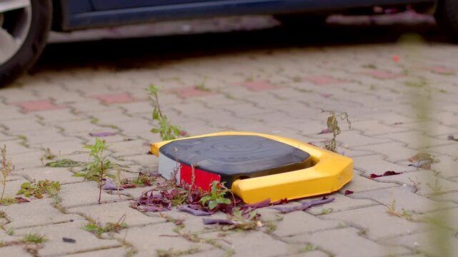 Yellow wheel clamp grips car tire in paved parking area, with weeds and fallen leaves around rim in low-angle daylight.