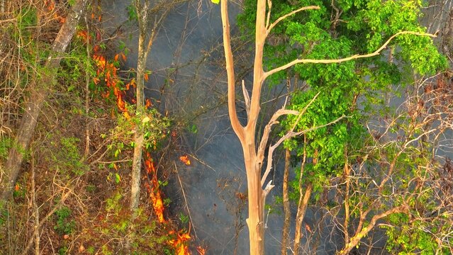 Drone capture of wildfire flames and smoke across forested land, showing the connection between changing climate conditions, hotter seasons, dry forests, and the rising risk of severe wildfires. 4k.
