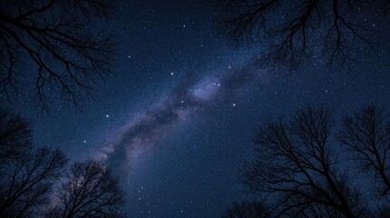 Fototapeta premium Bright Milky Way galaxy shines in deep blue night sky. Dark forest tree silhouettes frame cosmic view from below. Thousands of stars twinkle above wild woodland canopy during midnight astronomy
