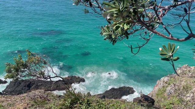 4K video shot of a rugged coastline with bushes and the sea with waves splashing on to rocks