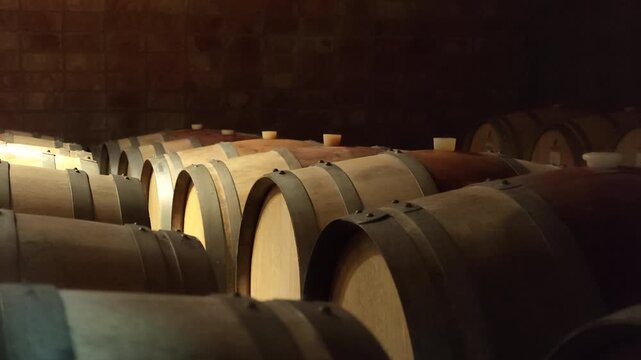 Oak wine barrels rest in tightly arranged rows inside a dim winery cellar, showing traditional barrel aging and maturation storage, with warm ambient lighting and brick masonry, slow lateral slide.