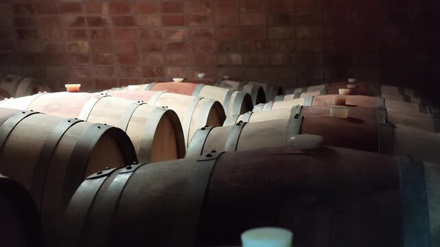 Oak wine barrels are arranged in dense rows inside a brick cellar for wine aging and maturation, showing wooden staves, metal hoops and barrel heads under subdued warm lighting, slow lateral slide.