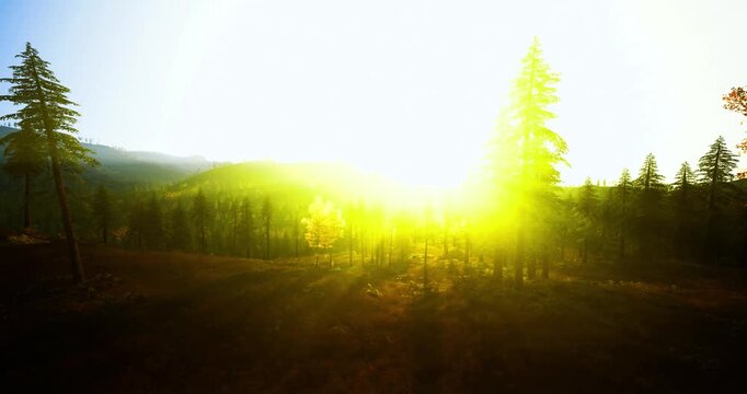 blinding sunrise over pine valley with intense backlight and radiant glow flooding landscape, vibrant optimism and renewal feeling, dramatic exposure creates