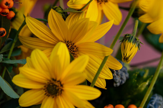 Il fiore del topinambur
