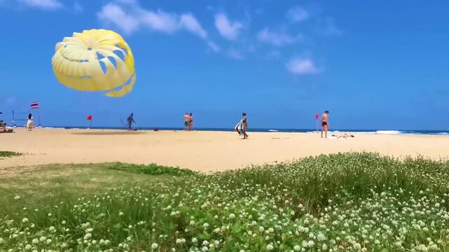 Tourists parasailing above tropical beach turquoise waves flowers grass palms Karon Phuket Thailand.