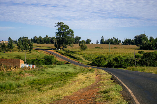 rural landscape with a tarmac road