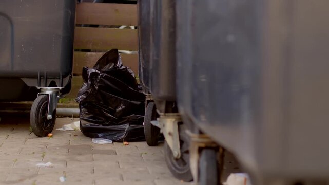 Black garbage bag tucked between two wheeled trash bins along paved outdoor alley with scattered litter, casters and plastic folds visible from low angle view.