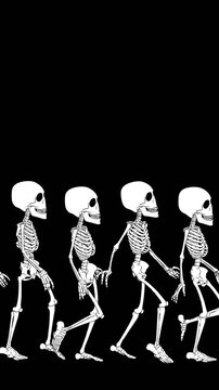 Seamless vertical video of a walking skeletons cartoon style isolated with copy space. Funny black and white Halloween background 