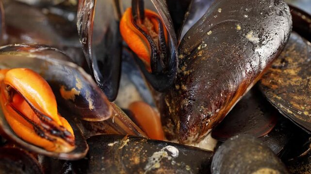 Close-up video of freshly cooked mussels in a pan, showing the open shells and juicy seafood after cooking with garlic and olive oil.