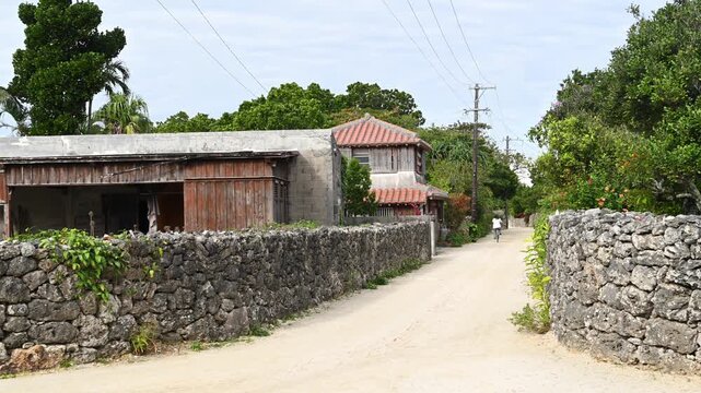 サンゴの石垣と白砂の道が続く竹富島の伝統的な集落風景（ブーゲンビリア・シーサー）