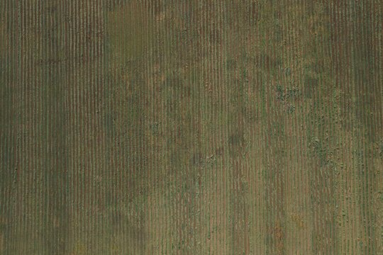 Aerial view of agricultural fields with parallel crop rows in rural farmland Eaton, Colorado, United States.