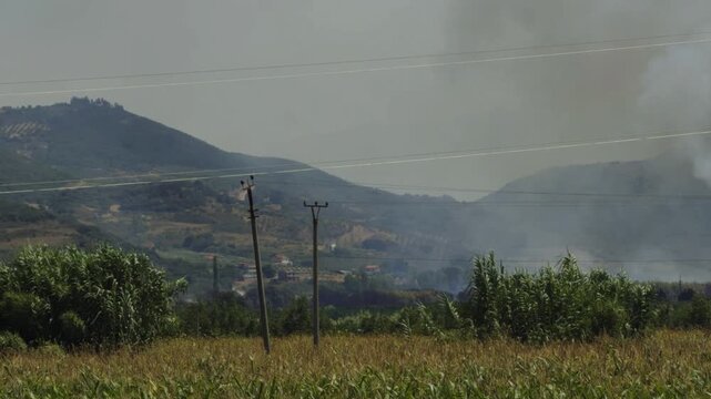Thick Smoke Billowing From Burning Field Behind Green Bushes And Power Lines