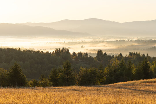 Golden sunrise over a misty mountain valley in autumn near Toplita, Romania