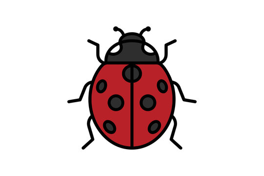 Minimalist Ladybug Vector Illustration