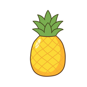 vector illustration of pineapple