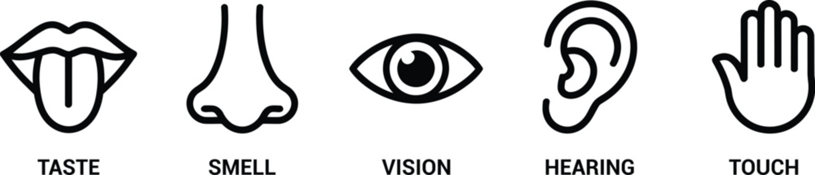Human senses icon set, five senses of the human nervous system featuring eye nose ear hand and mouth symbols in black circle design.