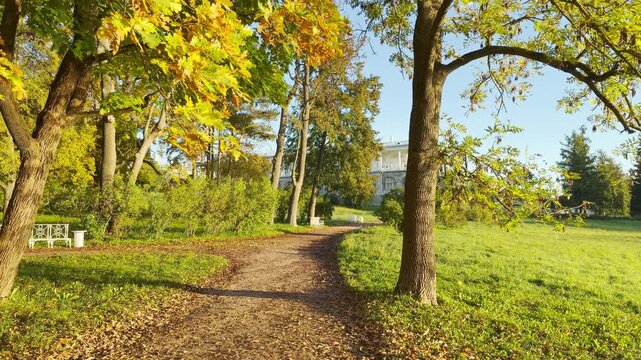 A quiet dirt path winds past a white bench under golden autumn trees in Catherine Park, Pushkin, Saint Petersburg. Sunlight creates a peaceful atmosphere near the historic Cameron Gallery.