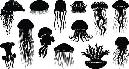 Deep sea jellyfish and marine life silhouette vector set featuring underwater medusa tentacles coral and aquatic creatures isolated on white background © Joynul