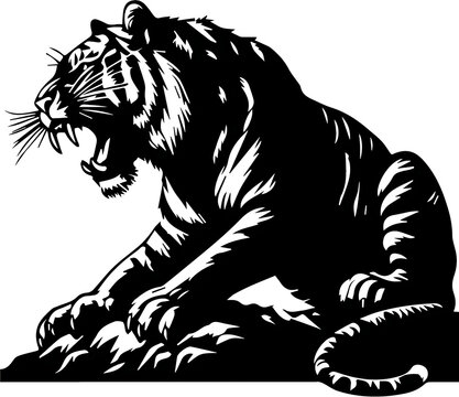 tiger vector illustration