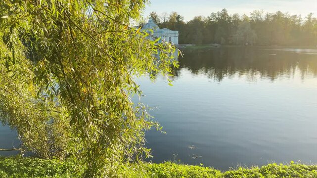 A weeping willow frames the Grotto pavilion across the calm lake. Smooth forward motion reveals Catherine Park, Pushkin, Saint Petersburg. This peaceful scene evokes serene and joyful emotions.