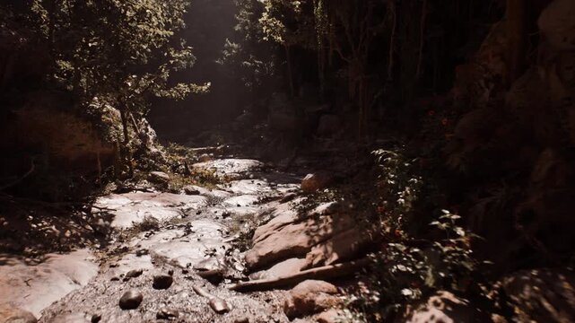 sundappled forest path with soft beams and leafy foreground, warm cinematic mood suited for mindfulness retreats, wellness campaigns, guided nature therapies,