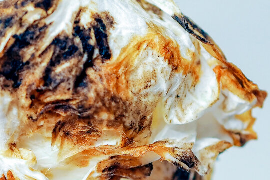 close-up shot of a crumpled, dirty white paper towel stained with dark brown grease, dirt, and residue