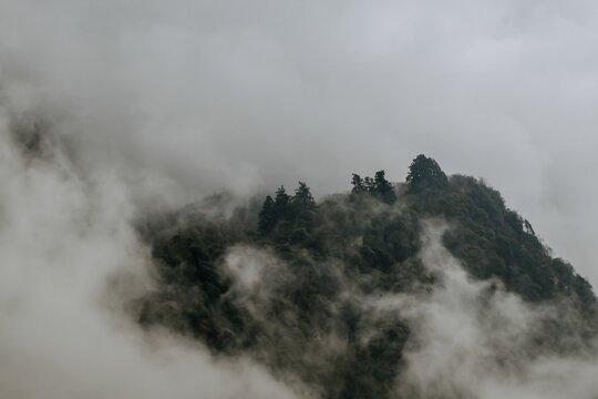 Mountain peak enveloped in fog with dense forest