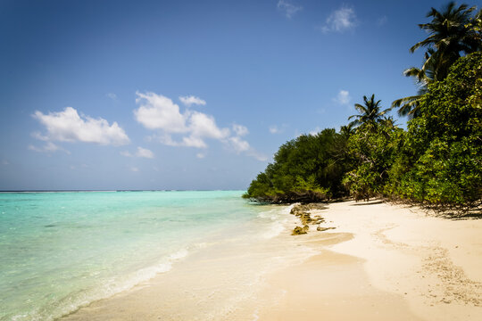 Tropical beach with turquoise water and palm trees in a beach