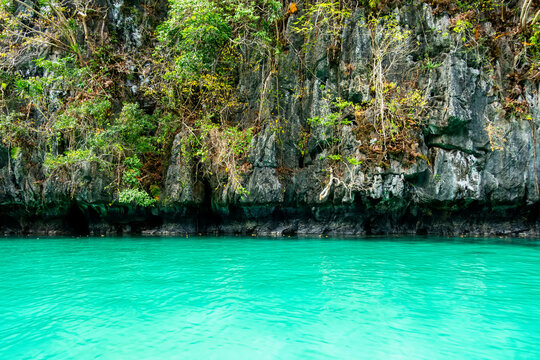 Turquoise water by rocky cliff with tropical plants