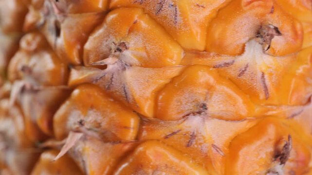 Close-up rotating shot of pineapple skin texture with leaves on a dark background.	
