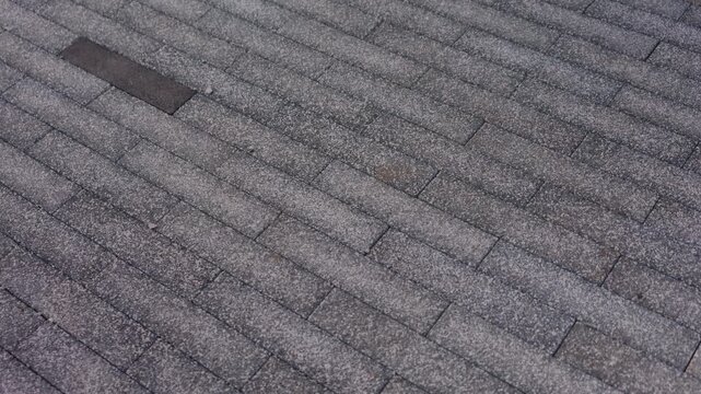Installed concrete paving tiles forming pedestrian walkway surface