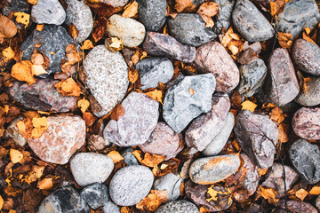 Granite stones and fallen yellow birch leaves, autumn background, top view © Acorn Design