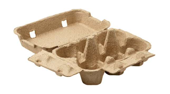 Empty cardboard egg carton box for six eggs