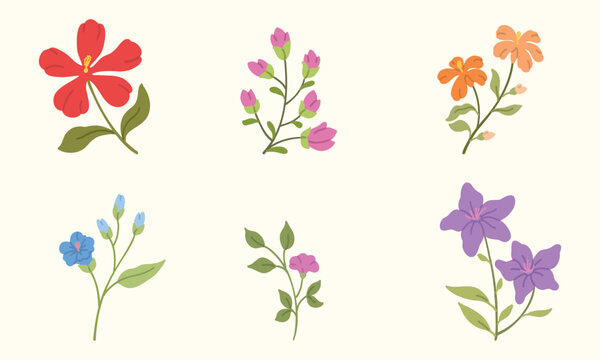 Elegant botanical and floral illustrations with decorative elements