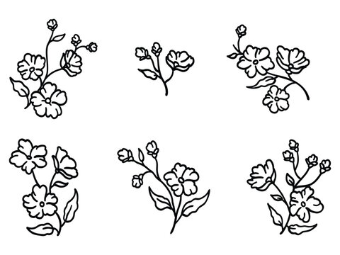 Beautiful hand-drawn botanical and floral line art design elements