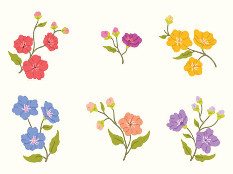 Beautiful floral and botanical collection with decorative hand-drawn elements