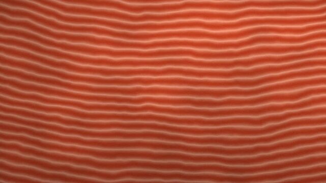 Textura de veios de madeira teca dourada em loop cont&iacute;nuo