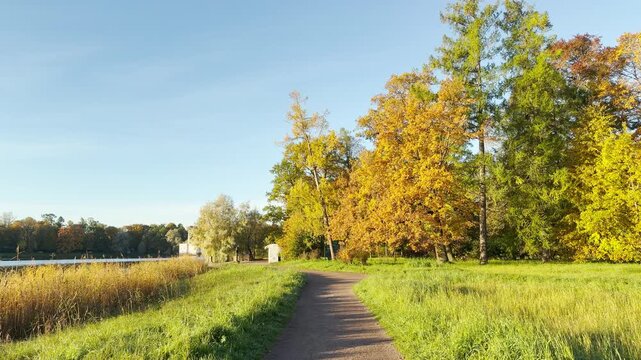 A winding path leads through vibrant autumn trees. A smooth camera glides along Catherine Park, Pushkin, Saint Petersburg, inspiring peace and serene joy.