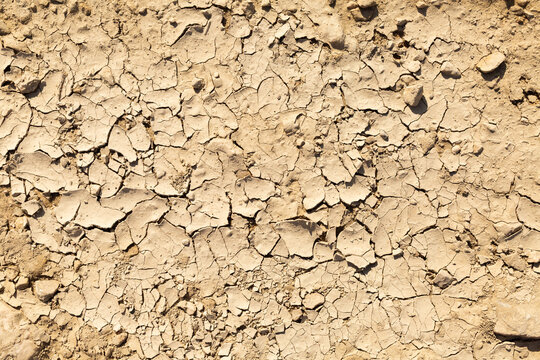 Sol argileux craquel&eacute; et ass&eacute;ch&eacute; vue de dessus plein cadre