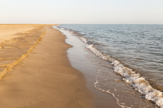 Plage de sable fin dor&eacute; d&eacute;serte bord&eacute;e de petites vagues sous une lumi&egrave;re douce
