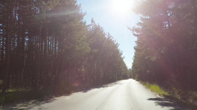Convertible drive pov with sun shining through the trees, creating a warm and inviting atmosphere. The sky is clear and blue, with no clouds in sight