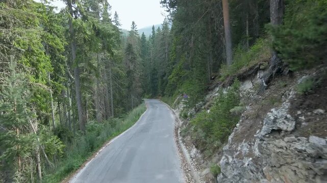 Fpv drone drive pov over road with trees on both sides