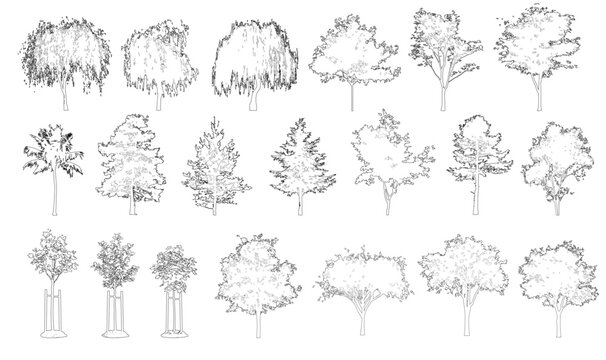 Pack of vector trees in elevation view for use in architectural drawings isolated on transparent background	
