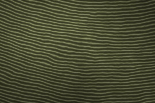 Fundo abstrato em tons de verde-oliva: textura de veios de madeira